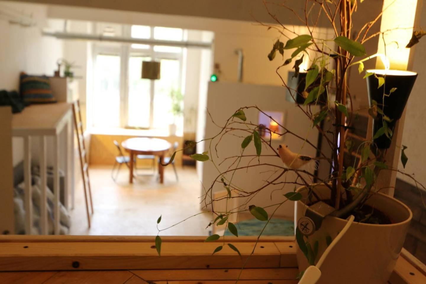 Einzigartiges 140Qm Loft - Party Ist Erlaubt! Appartement Berlijn Buitenkant foto